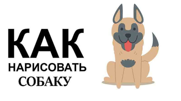 Как нарисовать собаку поэтапно карандашом?