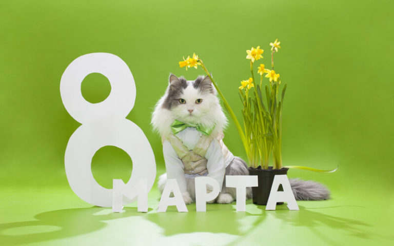 Поздравления с 8 марта видео