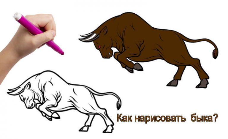 Как нарисовать быка (боевого) карандашом поэтапно?
