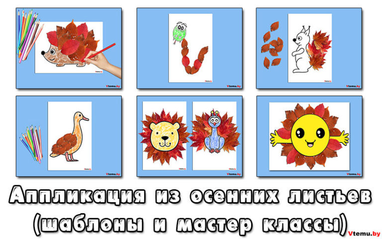 Аппликация из осенних листьев для детей (мастер класс)