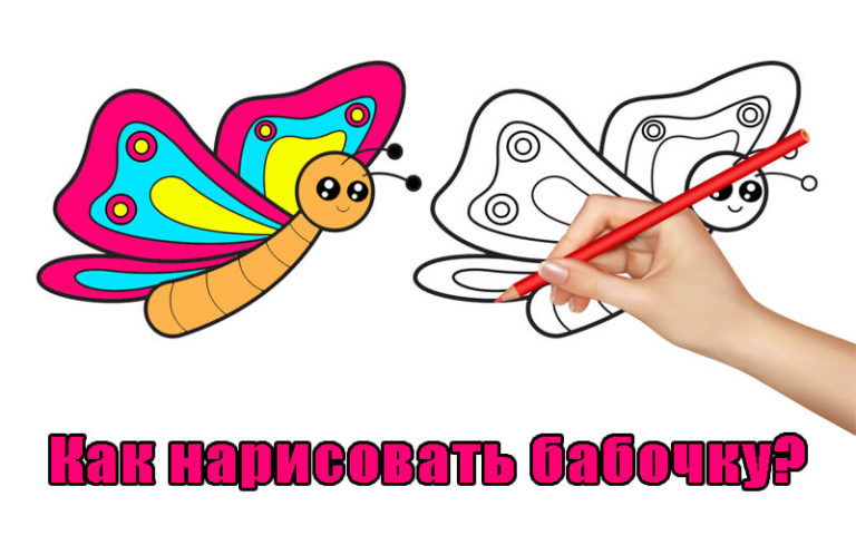 Как нарисовать бабочку карандашом поэтапно для детей?