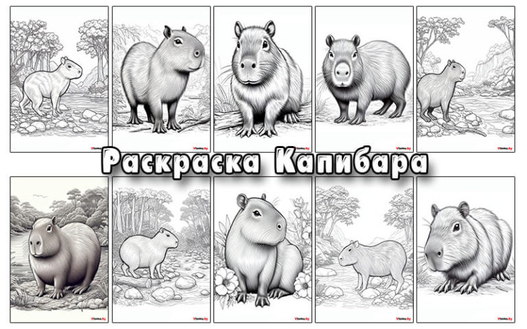 Раскраска Капибара для детей и взрослых распечатать