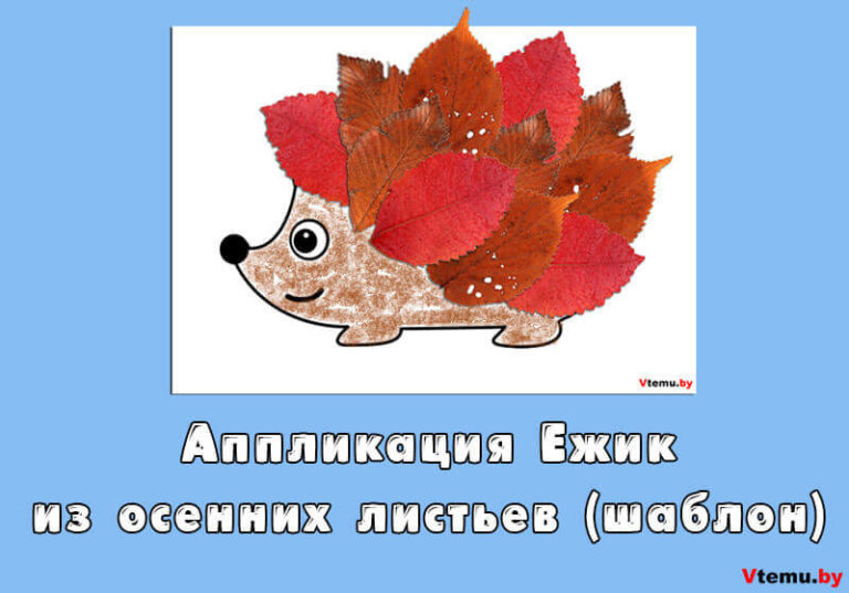 Аппликация Ежик из осенних листьев своими руками (шаблон)